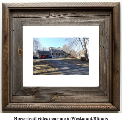 horse trail rides near me in Westmont, Illinois